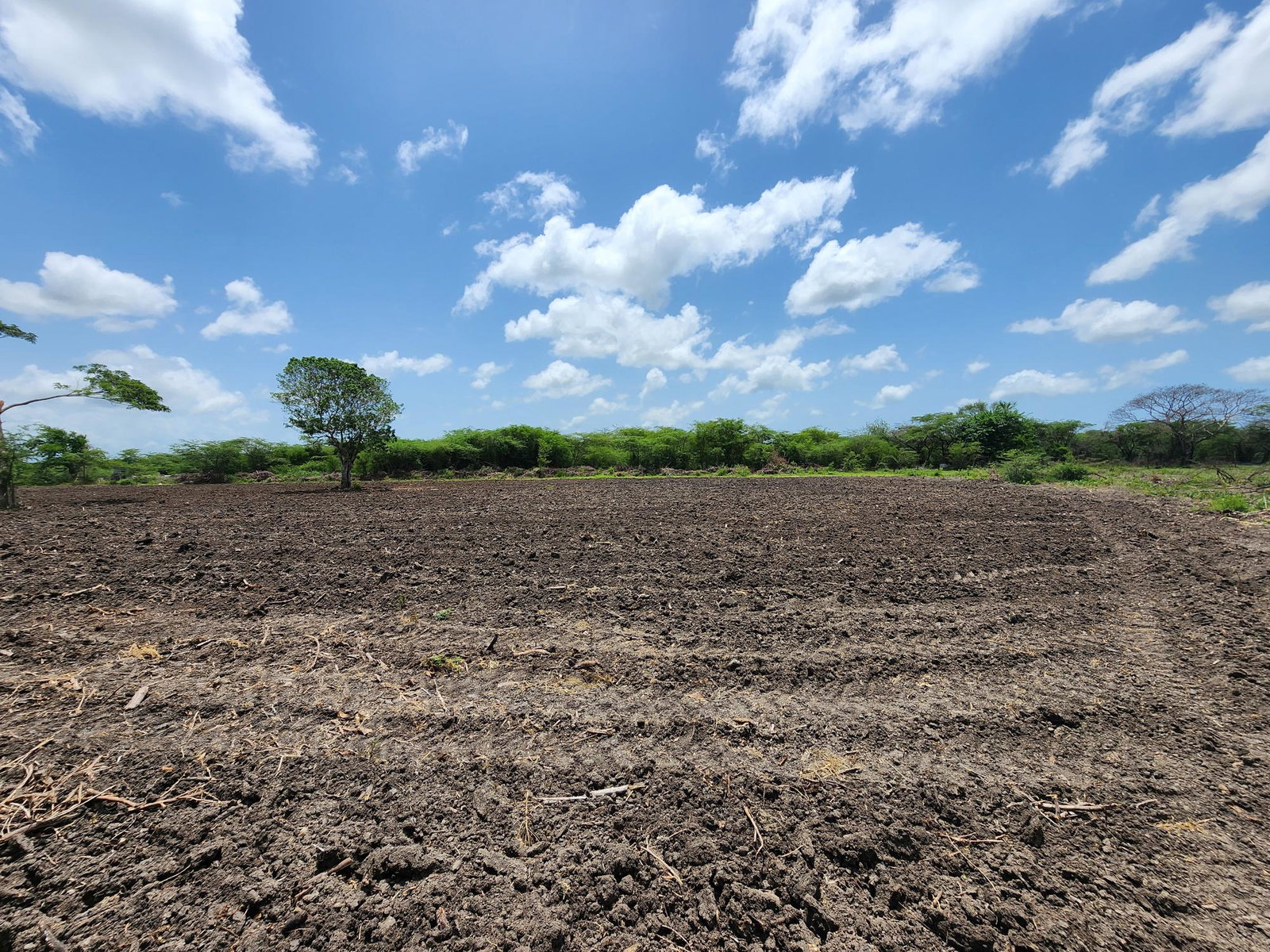 Twenty-Fourth image of Hartlands in Hartlands, St. Catherine, Jamaica - property is For Sale