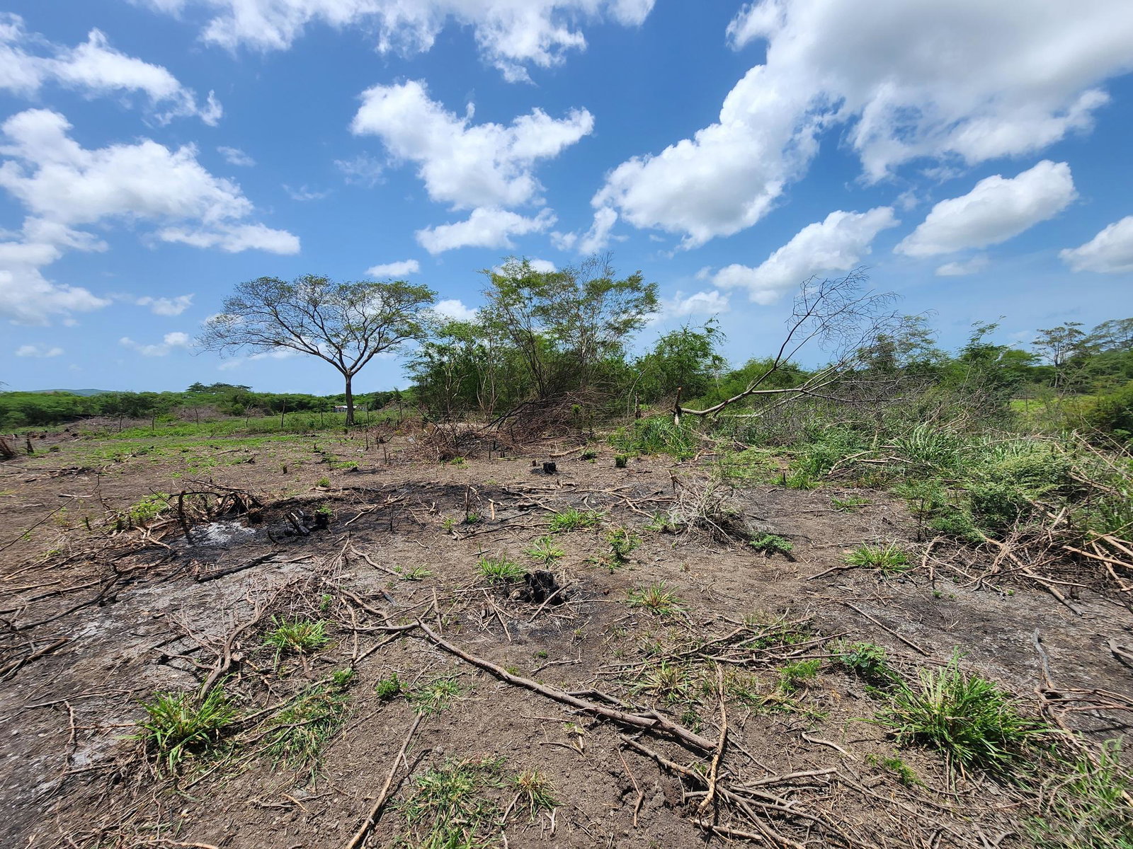 Twenty-Sixth image of Hartlands in Hartlands, St. Catherine, Jamaica - property is For Sale