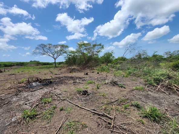 Twenty-Sixth image of Hartlands in Hartlands, St. Catherine, Jamaica - property is For Sale