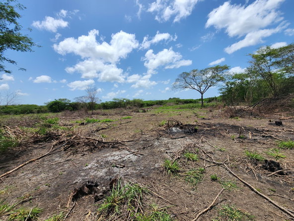 Twenty-Seventh image of Hartlands in Hartlands, St. Catherine, Jamaica - property is For Sale
