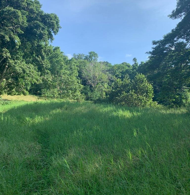 Second image of 1 Hopewell, Bridgewater Dis in Discovery Bay, St. Ann, Jamaica - property is For Sale