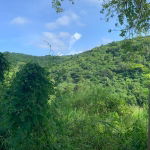 First image of 1 Hopewell, Bridgewater Dis in Discovery Bay, St. Ann, Jamaica - property is For Sale