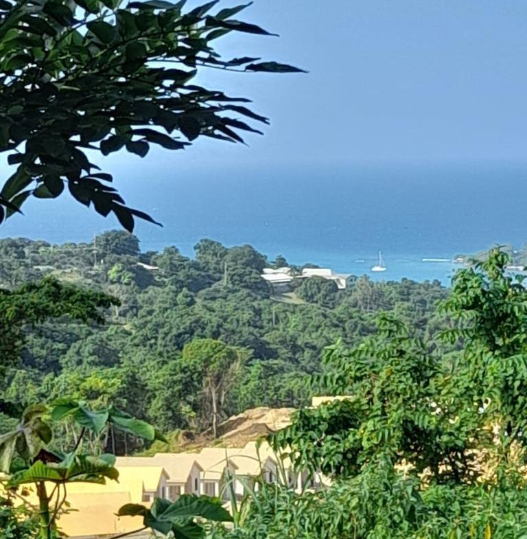 Third image of 1 Hopewell, Bridgewater Dis in Discovery Bay, St. Ann, Jamaica - property is For Sale