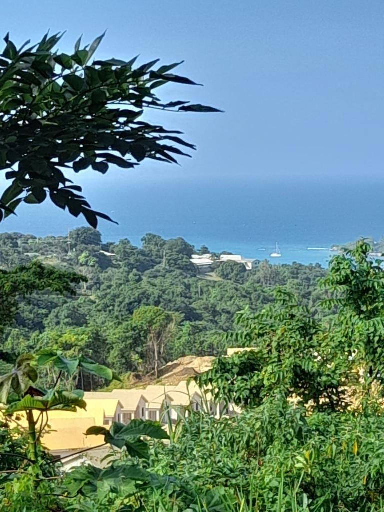 42-Acres-Development-Land-for-Sale-in-Discovery-Bay-St.-Ann Third image of 1 Hopewell, Bridgewater Dis in Discovery Bay, St. Ann, Jamaica - property is For Sale