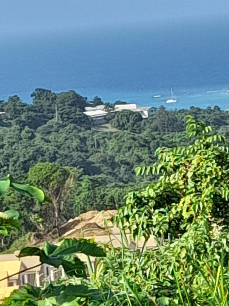 42-Acres-Development-Land-for-Sale-in-Discovery-Bay-St.-Ann Fourth image of 1 Hopewell, Bridgewater Dis in Discovery Bay, St. Ann, Jamaica - property is For Sale