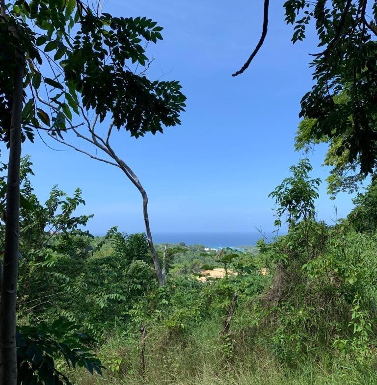 Fifth image of 1 Hopewell, Bridgewater Dis in Discovery Bay, St. Ann, Jamaica - property is For Sale