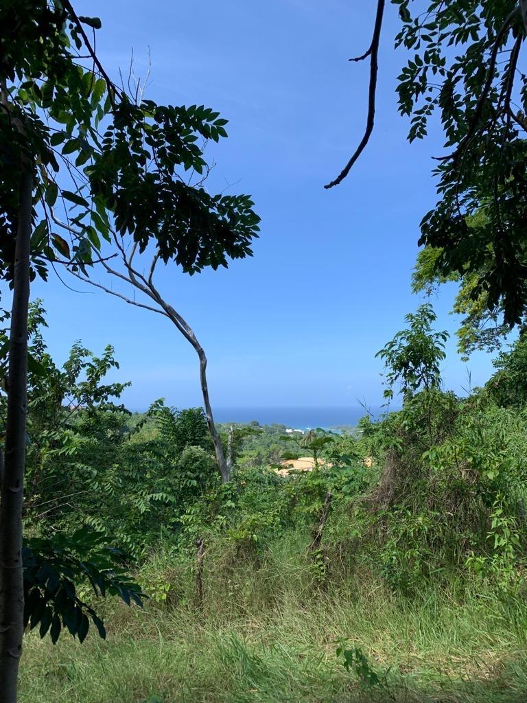 42-Acres-Development-Land-for-Sale-in-Discovery-Bay-St.-Ann Fifth image of 1 Hopewell, Bridgewater Dis in Discovery Bay, St. Ann, Jamaica - property is For Sale