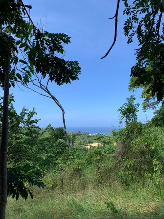 Fifth image of 1 Hopewell, Bridgewater Dis in Discovery Bay, St. Ann, Jamaica - property is For Sale