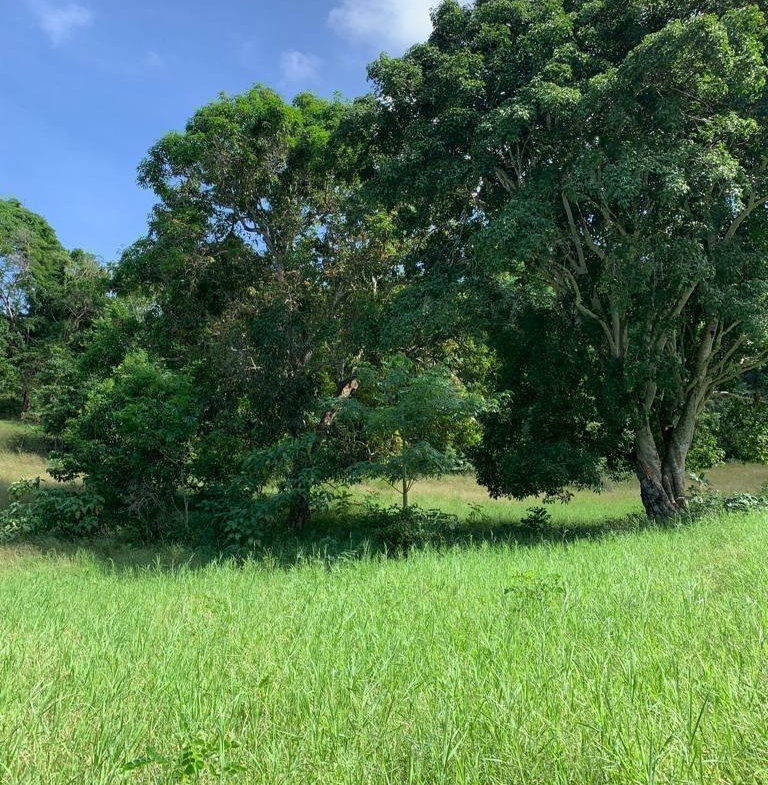 Sixth image of 1 Hopewell, Bridgewater Dis in Discovery Bay, St. Ann, Jamaica - property is For Sale