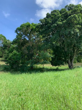 Sixth image of 1 Hopewell, Bridgewater Dis in Discovery Bay, St. Ann, Jamaica - property is For Sale