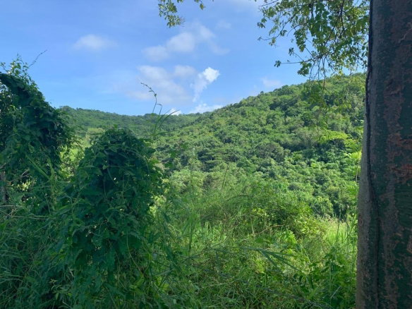 First image of 1 Hopewell, Bridgewater Dis in Discovery Bay, St. Ann, Jamaica - property is For Sale