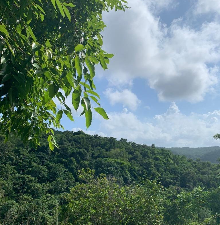 Seventh image of 1 Hopewell, Bridgewater Dis in Discovery Bay, St. Ann, Jamaica - property is For Sale