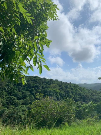 Seventh image of 1 Hopewell, Bridgewater Dis in Discovery Bay, St. Ann, Jamaica - property is For Sale