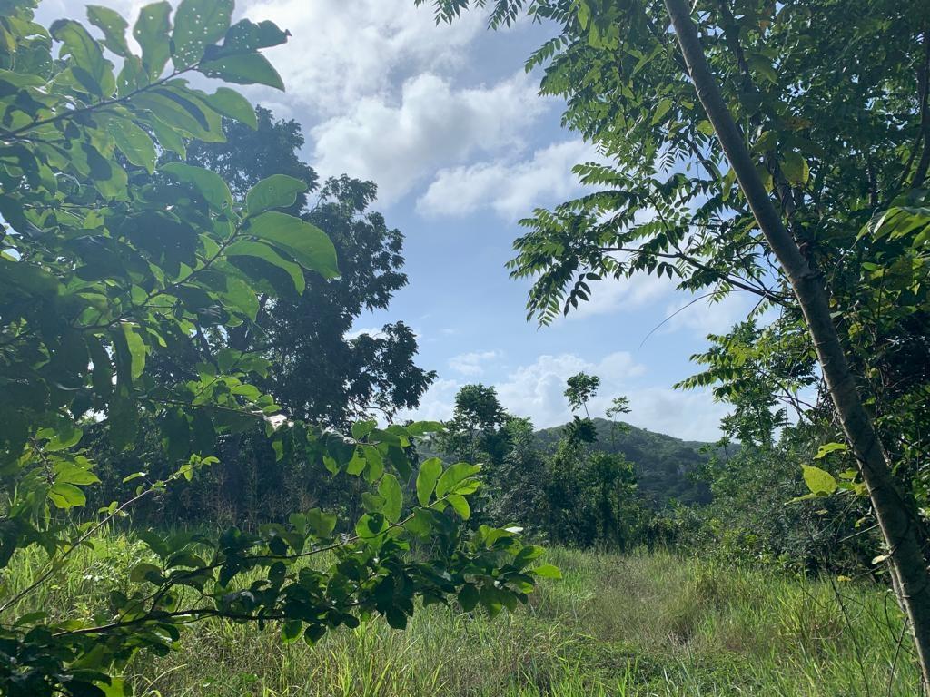 Eighth image of 1 Hopewell, Bridgewater Dis in Discovery Bay, St. Ann, Jamaica - property is For Sale
