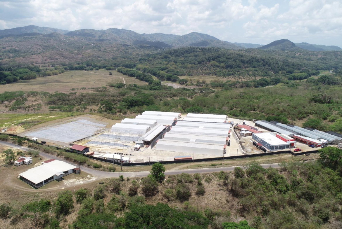 Second image of Chapleton Low Ground in CHAPELTON, Clarendon, Jamaica - property is For Sale