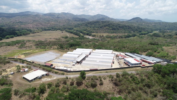 Second image of Chapleton Low Ground in CHAPELTON, Clarendon, Jamaica - property is For Sale