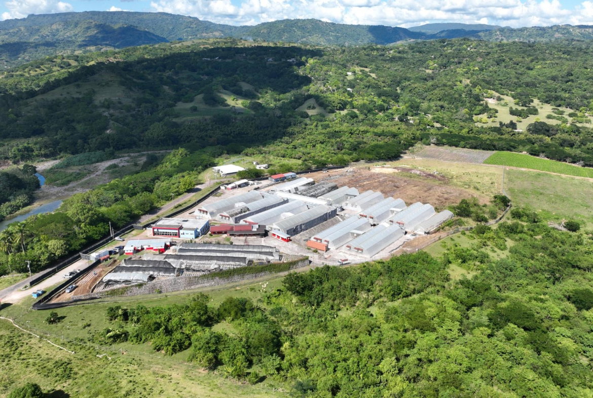 First image of Chapleton Low Ground in CHAPELTON, Clarendon, Jamaica - property is For Sale