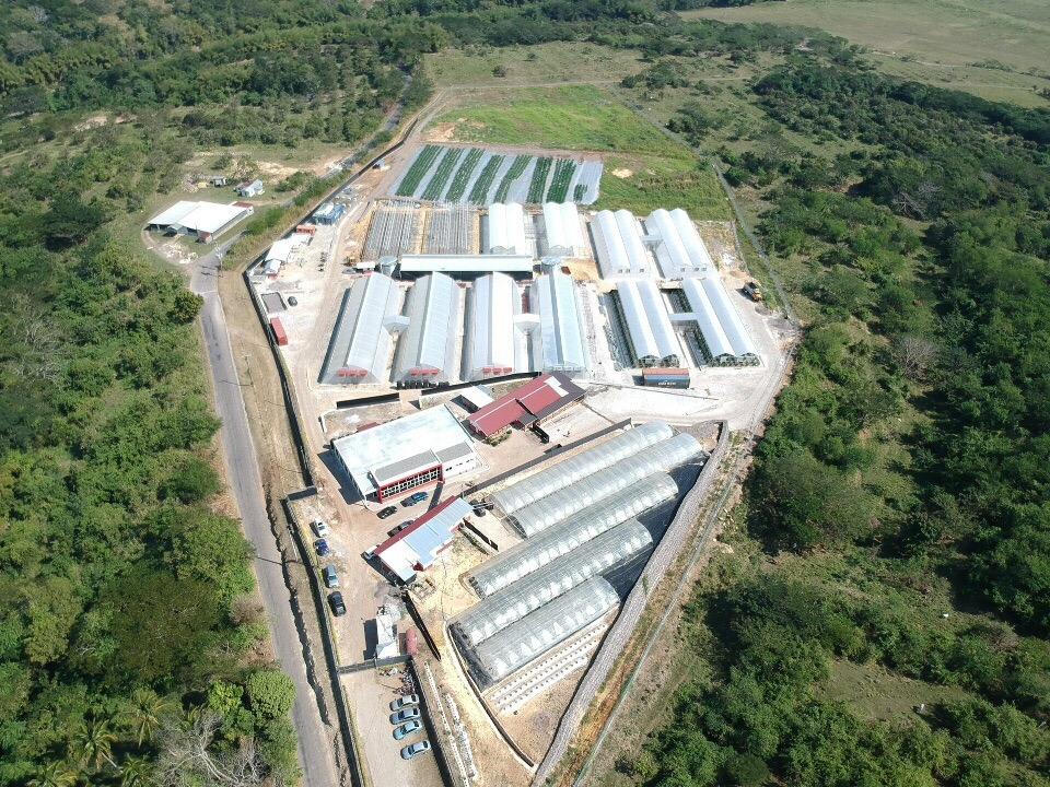 Third image of Chapleton Low Ground in CHAPELTON, Clarendon, Jamaica - property is For Sale