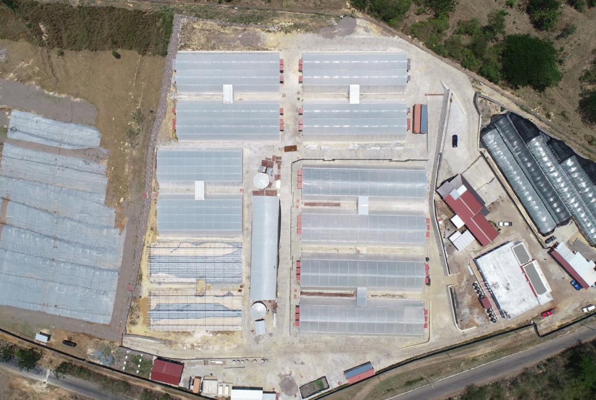 Fourth image of Chapleton Low Ground in CHAPELTON, Clarendon, Jamaica - property is For Sale