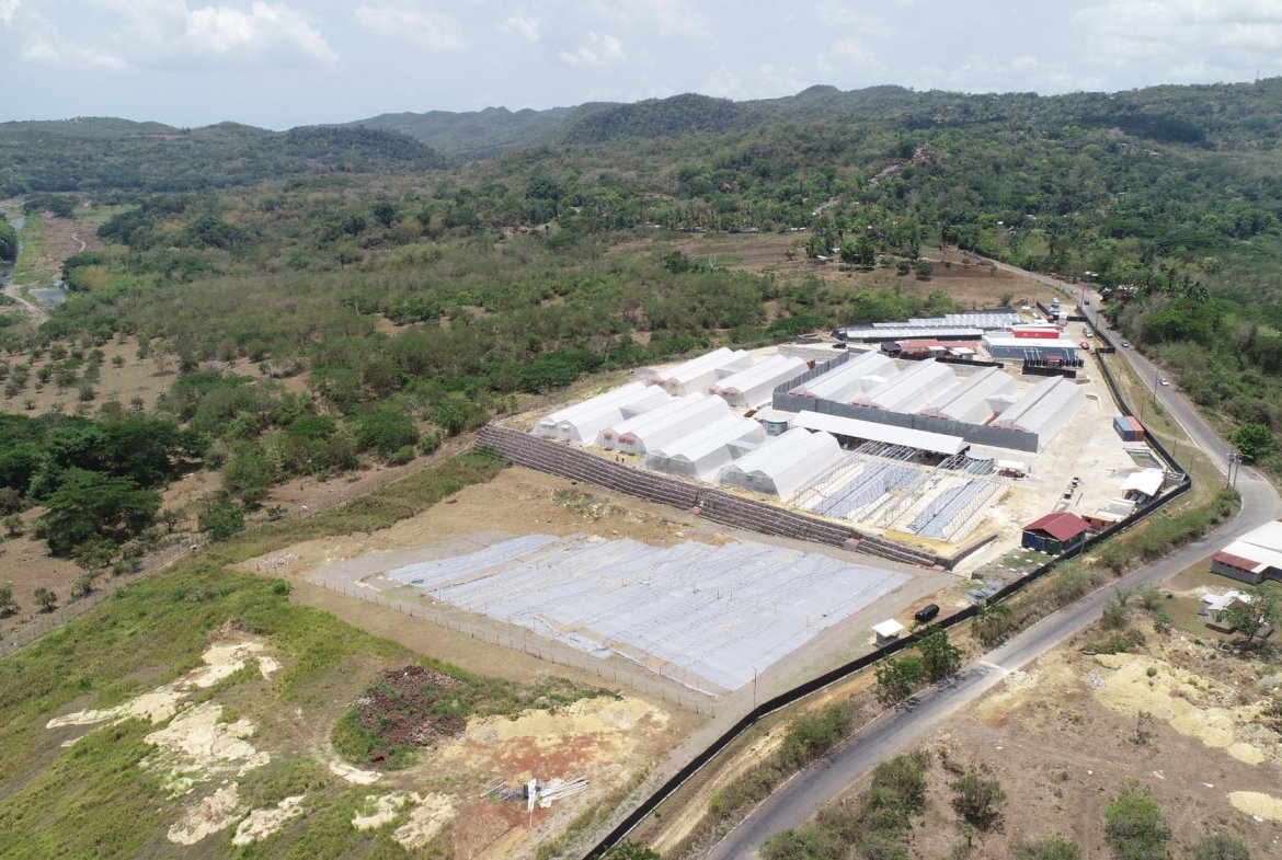 Fifth image of Chapleton Low Ground in CHAPELTON, Clarendon, Jamaica - property is For Sale