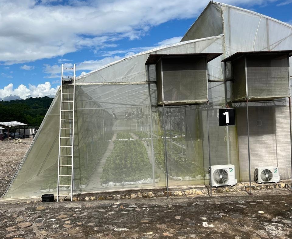 Sixth image of Chapleton Low Ground in CHAPELTON, Clarendon, Jamaica - property is For Sale