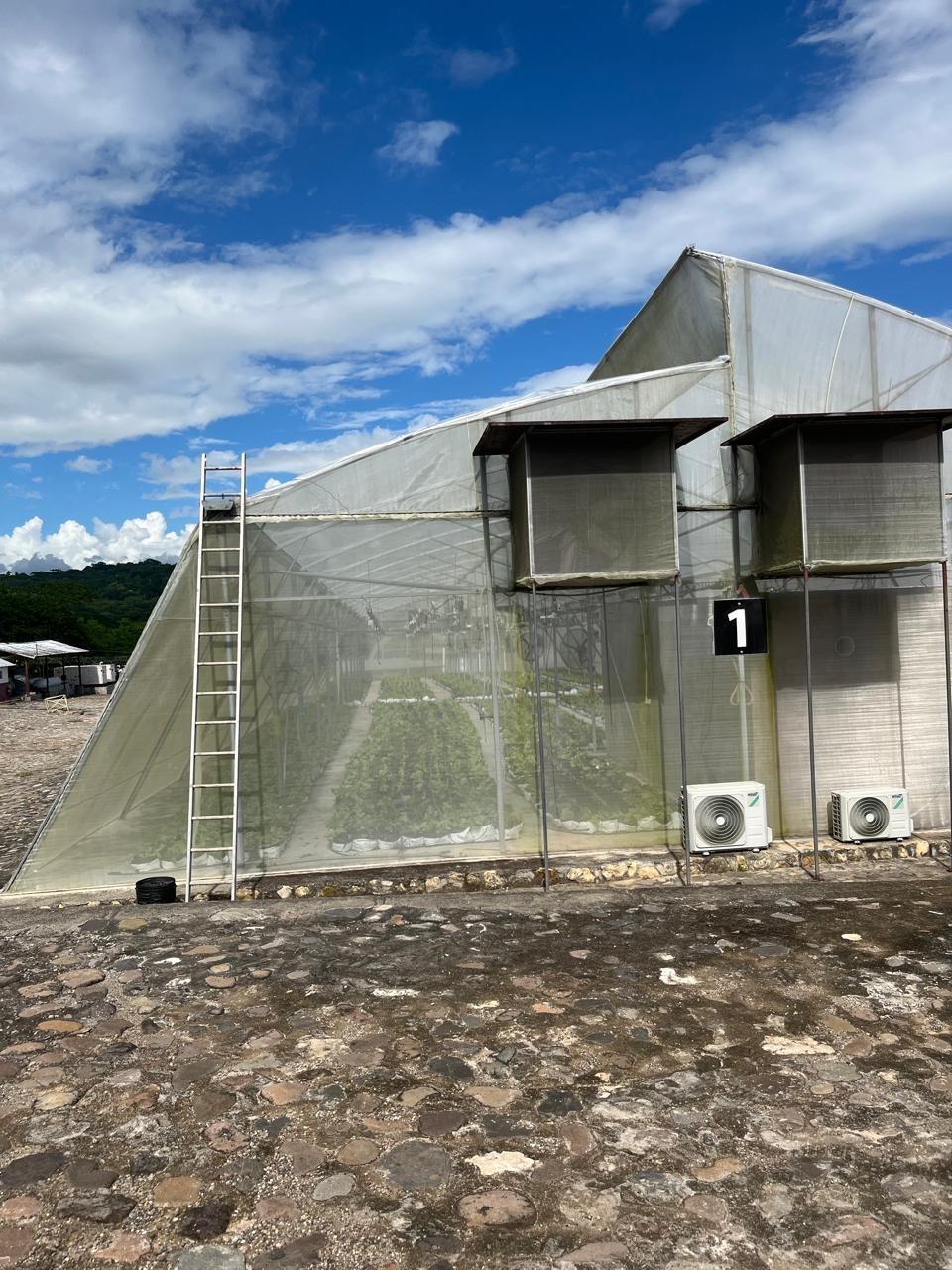 Sixth image of Chapleton Low Ground in CHAPELTON, Clarendon, Jamaica - property is For Sale