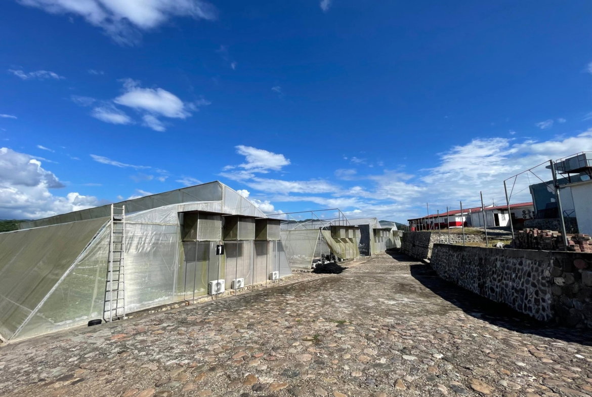 Seventh image of Chapleton Low Ground in CHAPELTON, Clarendon, Jamaica - property is For Sale