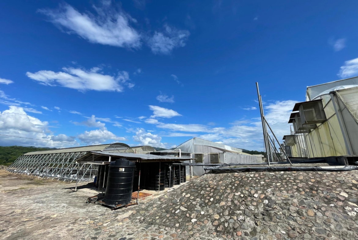 Ninth image of Chapleton Low Ground in CHAPELTON, Clarendon, Jamaica - property is For Sale