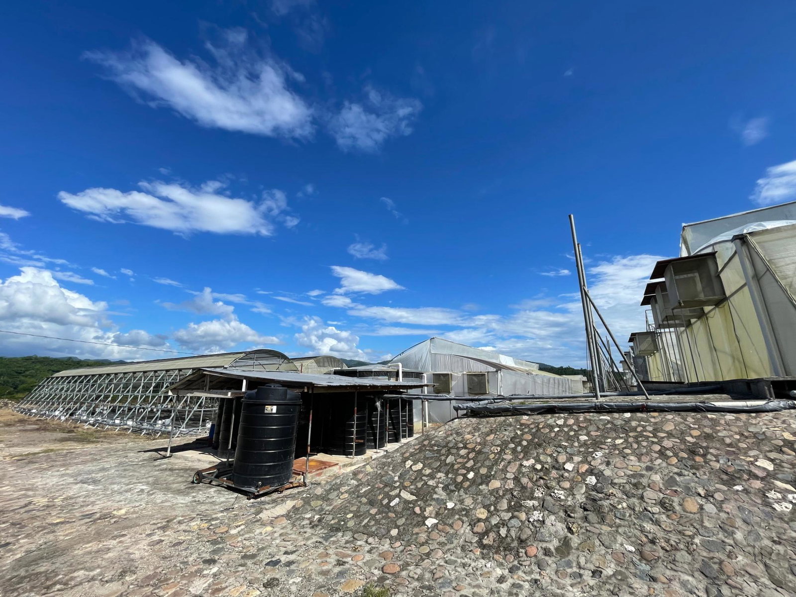 Ninth image of Chapleton Low Ground in CHAPELTON, Clarendon, Jamaica - property is For Sale