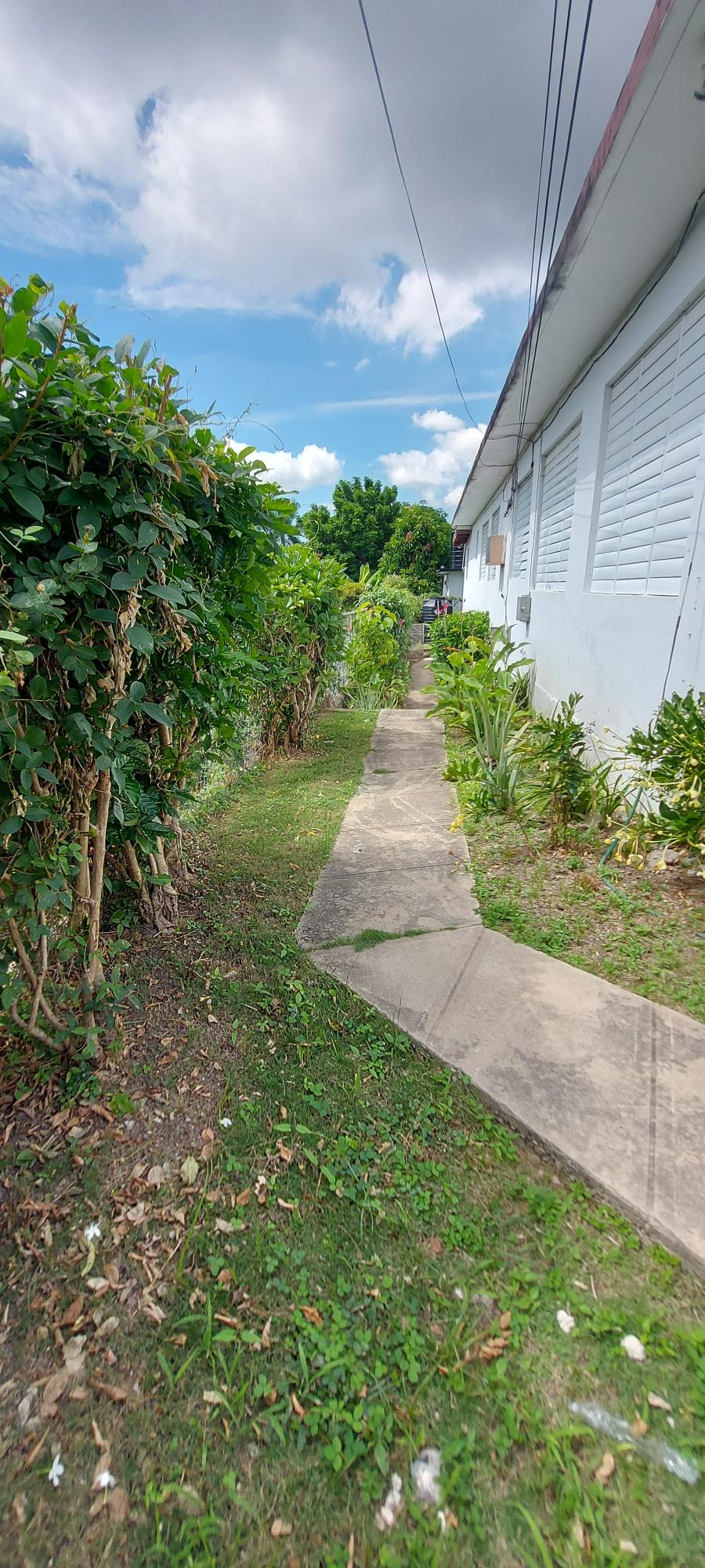 5-Bedroom-Fixer-Upper-in-St.-Andrew-Incredible-Potential Twenty-First image of 9 Margaret Drive in Hope Pastures, St. Andrew, Jamaica - property is For Sale