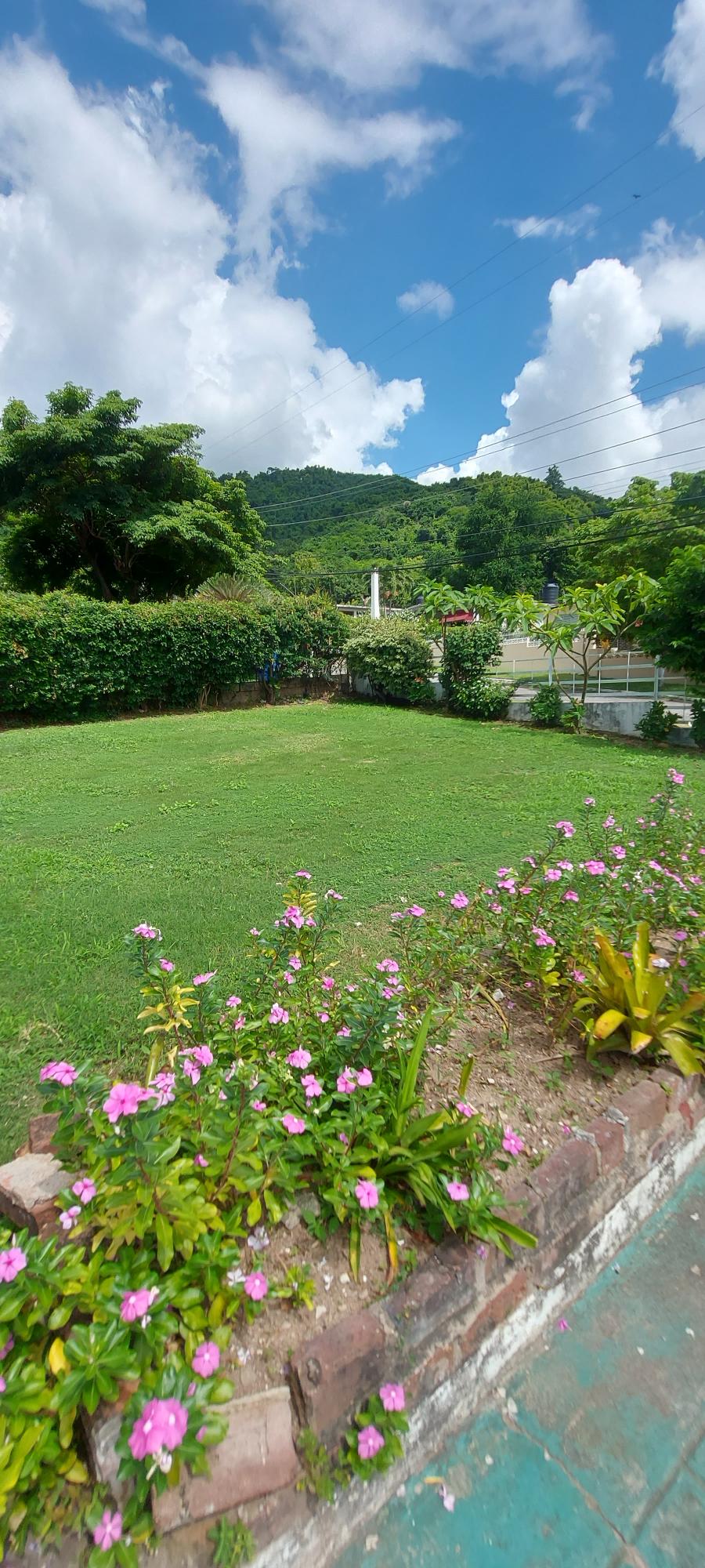 5-Bedroom-Fixer-Upper-in-St.-Andrew-Incredible-Potential Twenty-Third image of 9 Margaret Drive in Hope Pastures, St. Andrew, Jamaica - property is For Sale