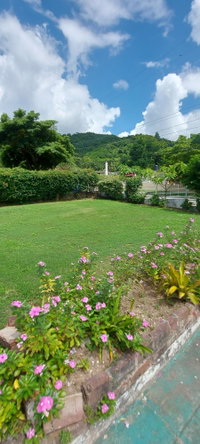Twenty-Third image of 9 Margaret Drive in Hope Pastures, St. Andrew, Jamaica - property is For Sale