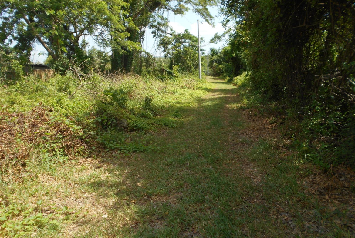 Second image of Rosewell District Clarend in May Pen, Clarendon, Jamaica - property is For Sale