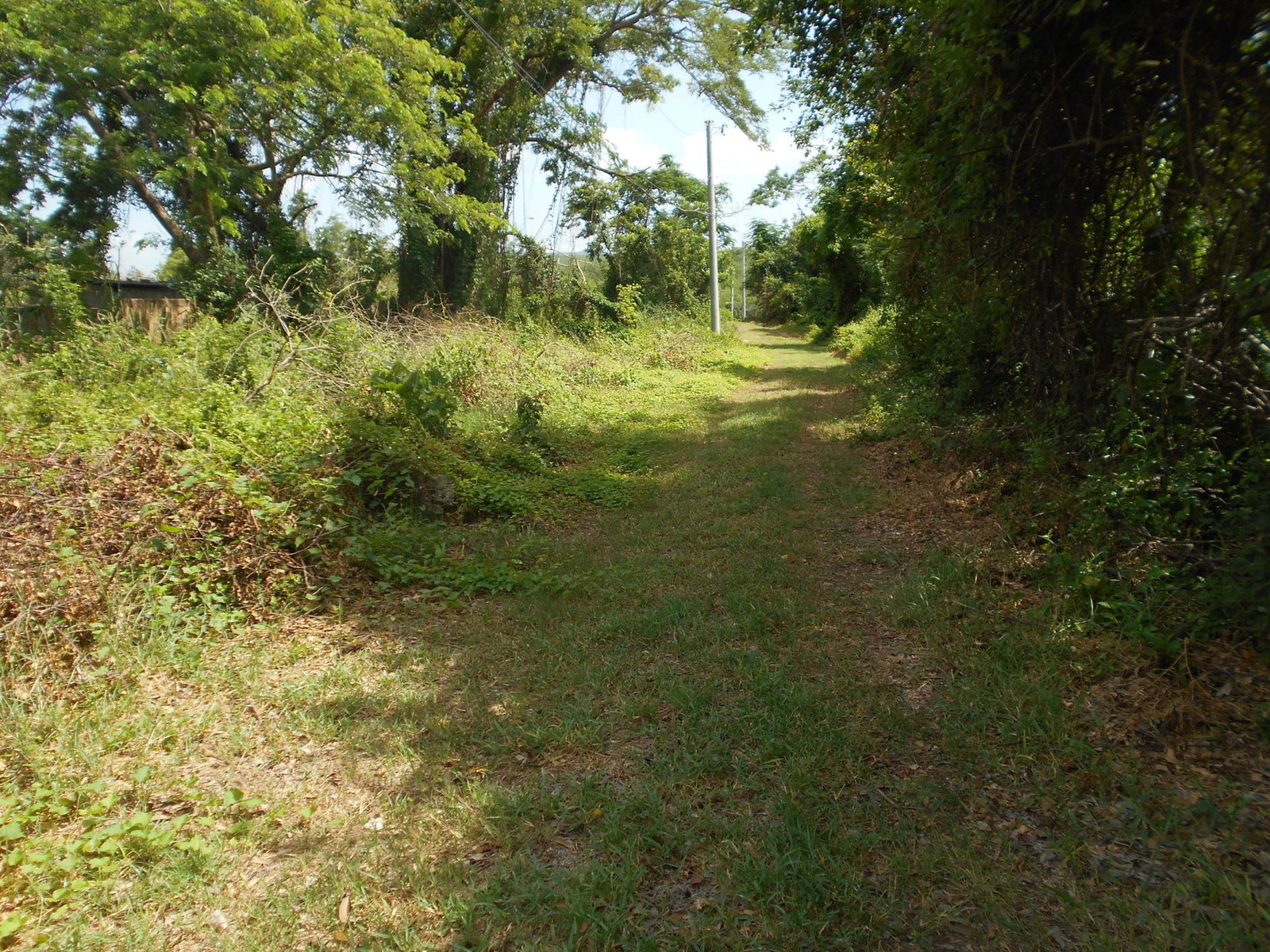 Second image of Rosewell District Clarend in May Pen, Clarendon, Jamaica - property is For Sale