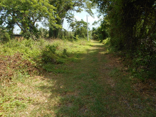 Second image of Rosewell District Clarend in May Pen, Clarendon, Jamaica - property is For Sale