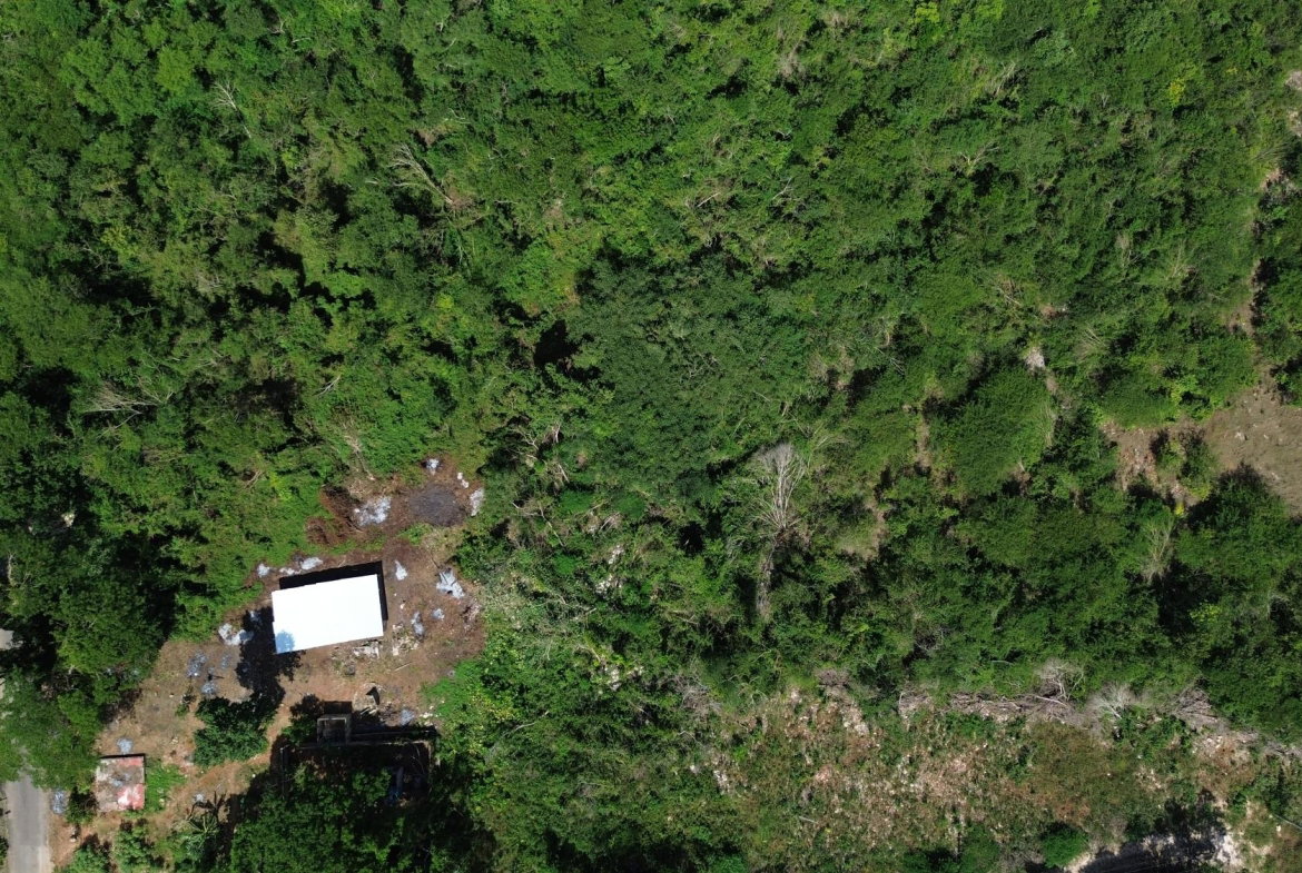 Eleventh image of Rosewell District Clarend in May Pen, Clarendon, Jamaica - property is For Sale