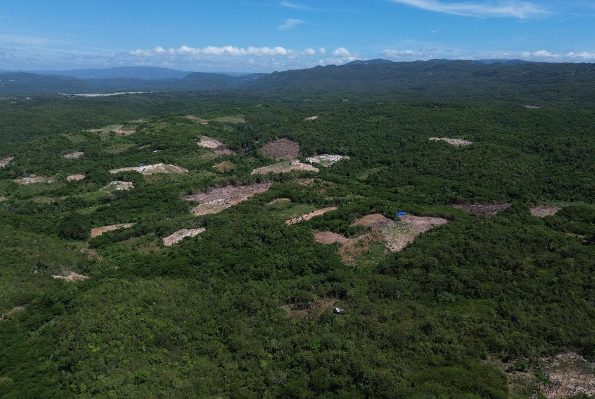 Twelfth image of Rosewell District Clarend in May Pen, Clarendon, Jamaica - property is For Sale
