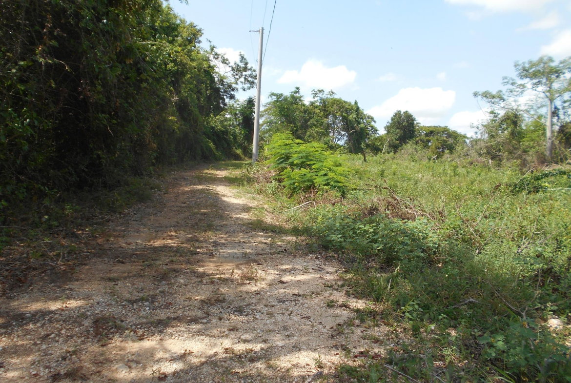 First image of Rosewell District Clarend in May Pen, Clarendon, Jamaica - property is For Sale