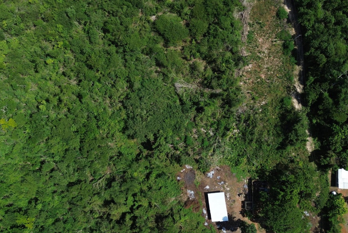 Thirteenth image of Rosewell District Clarend in May Pen, Clarendon, Jamaica - property is For Sale