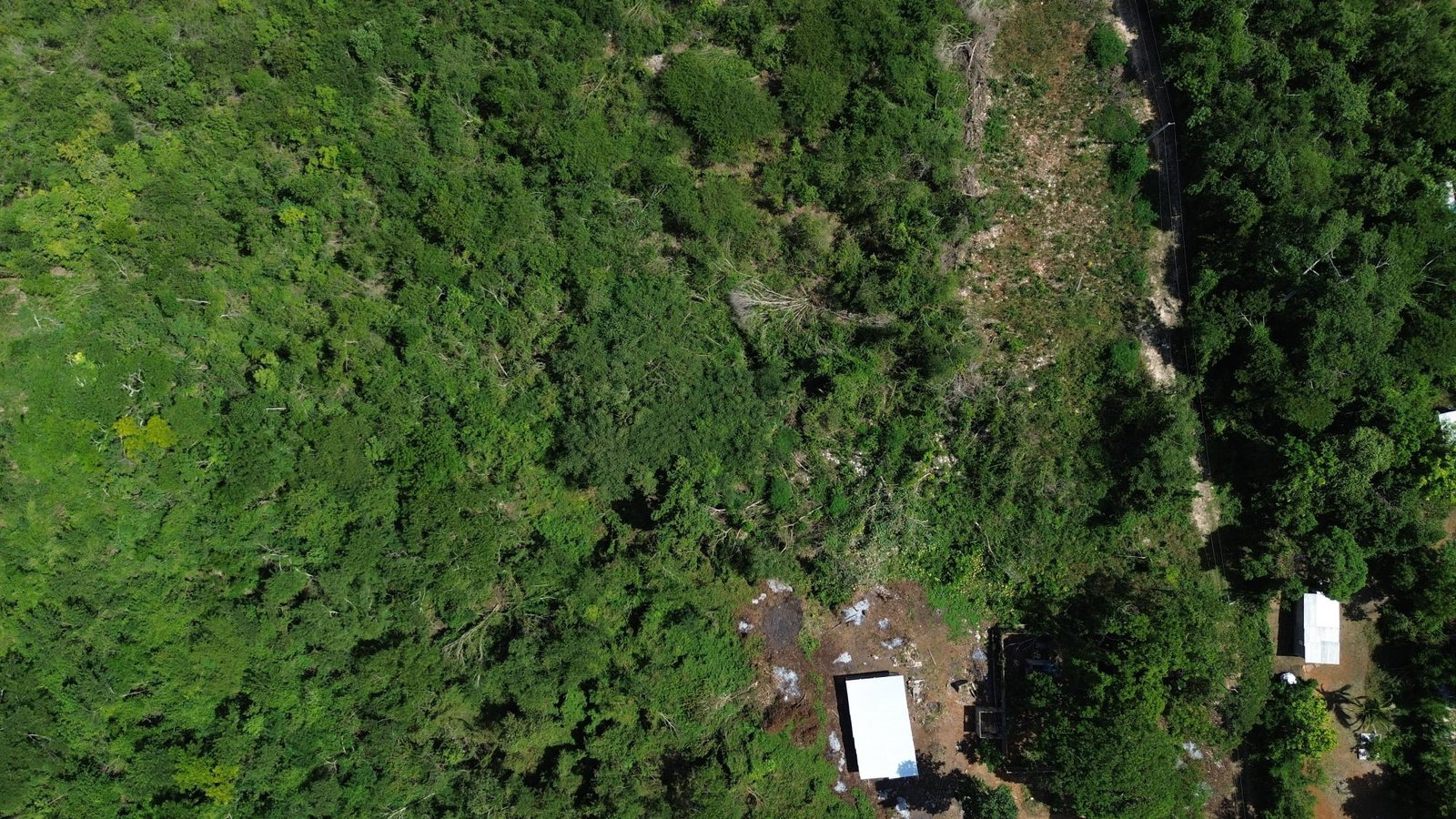 Thirteenth image of Rosewell District Clarend in May Pen, Clarendon, Jamaica - property is For Sale