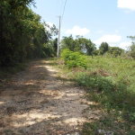 First image of Rosewell District Clarend in May Pen, Clarendon, Jamaica - property is For Sale