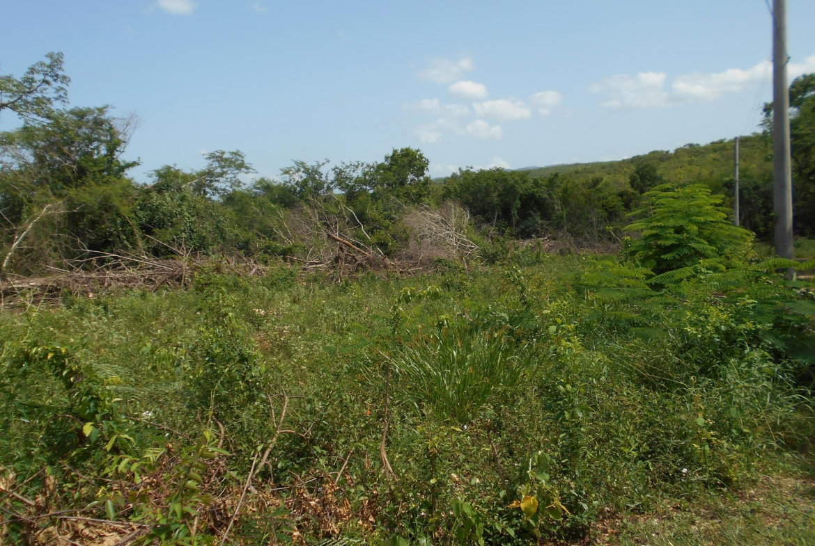 Third image of Rosewell District Clarend in May Pen, Clarendon, Jamaica - property is For Sale