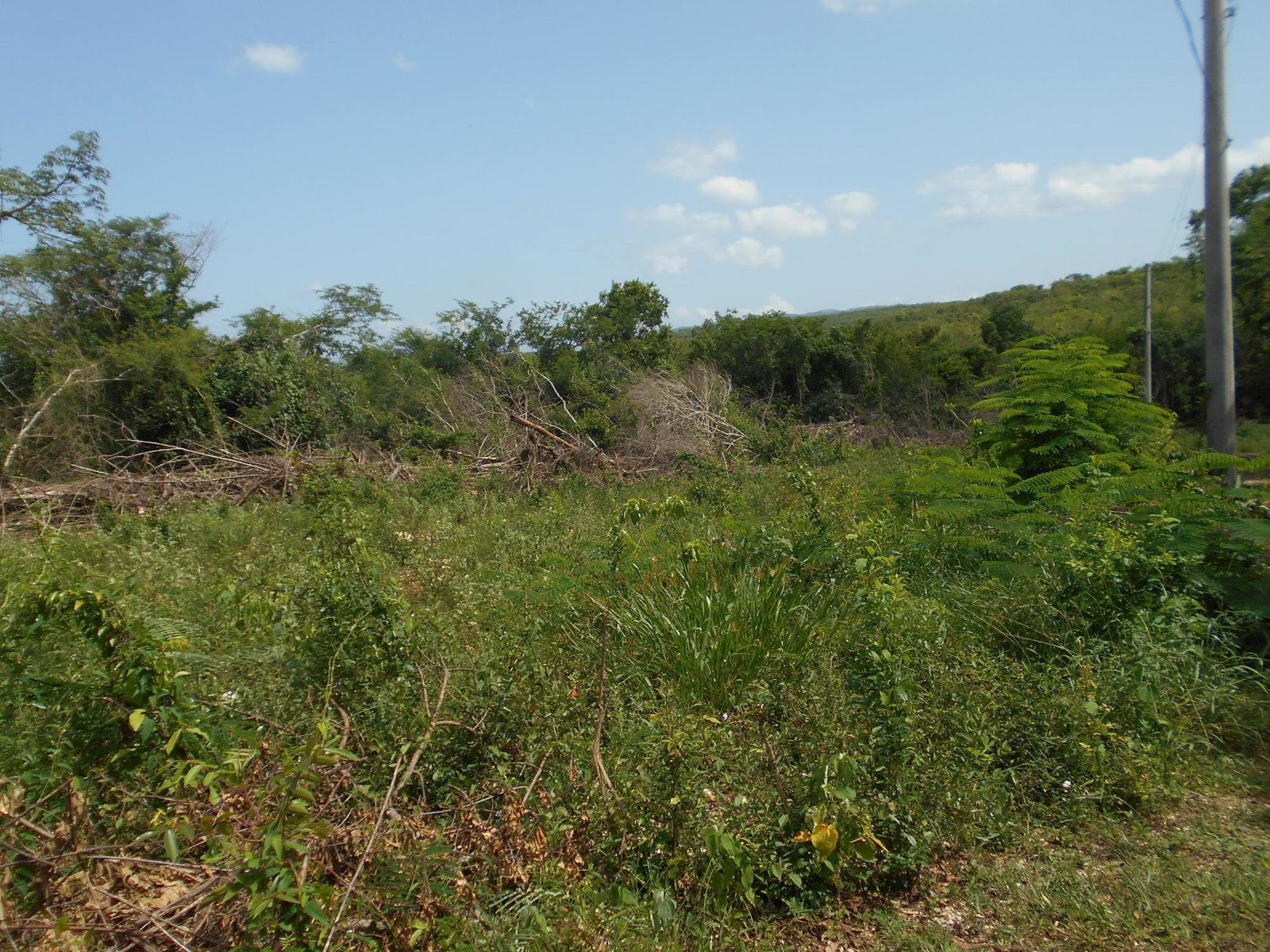 Third image of Rosewell District Clarend in May Pen, Clarendon, Jamaica - property is For Sale