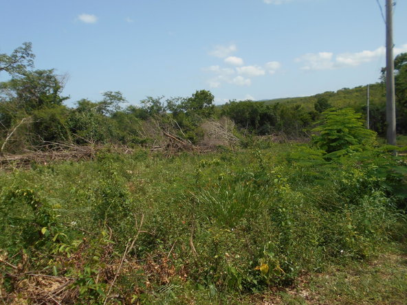 Third image of Rosewell District Clarend in May Pen, Clarendon, Jamaica - property is For Sale