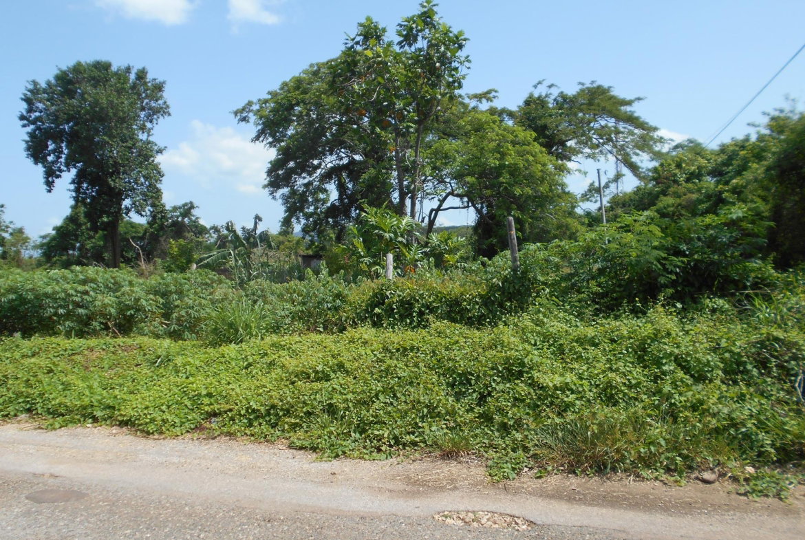 Fourth image of Rosewell District Clarend in May Pen, Clarendon, Jamaica - property is For Sale