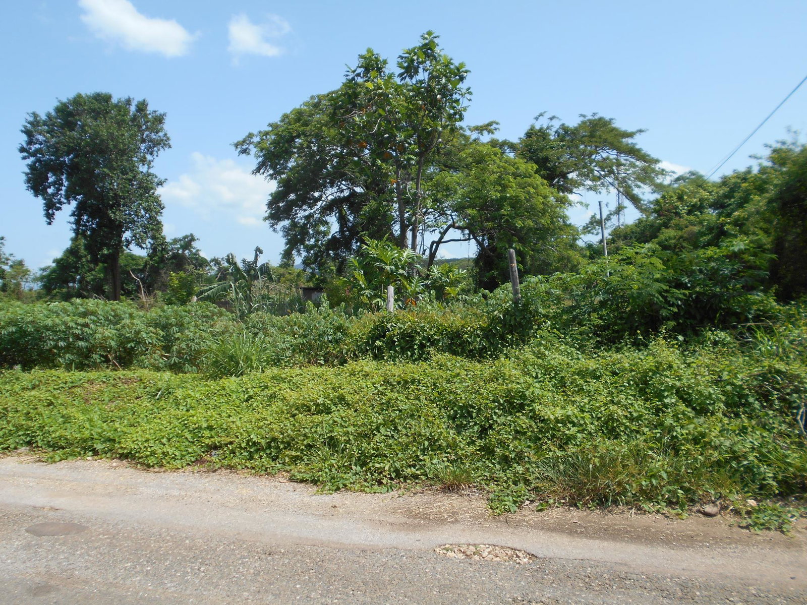 Fourth image of Rosewell District Clarend in May Pen, Clarendon, Jamaica - property is For Sale