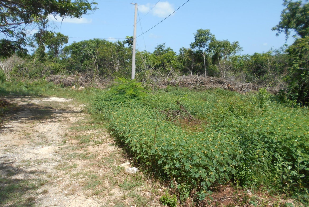 Fifth image of Rosewell District Clarend in May Pen, Clarendon, Jamaica - property is For Sale