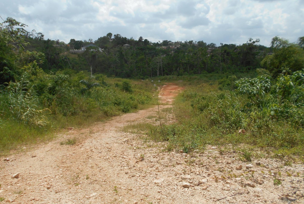 Sixth image of Rosewell District Clarend in May Pen, Clarendon, Jamaica - property is For Sale