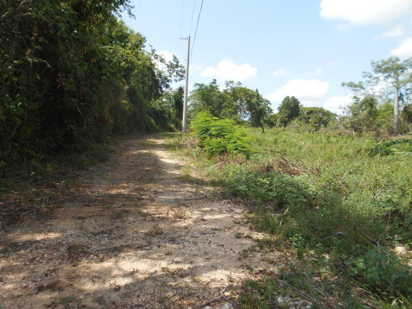 First image of Rosewell District Clarend in May Pen, Clarendon, Jamaica - property is For Sale
