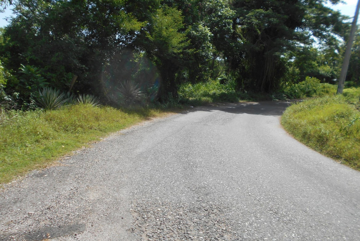 Seventh image of Rosewell District Clarend in May Pen, Clarendon, Jamaica - property is For Sale